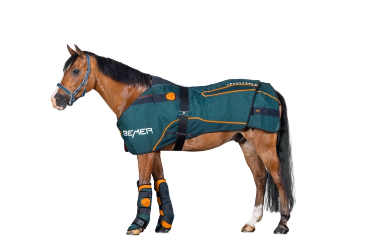 01-Horse-Set-01b.webp