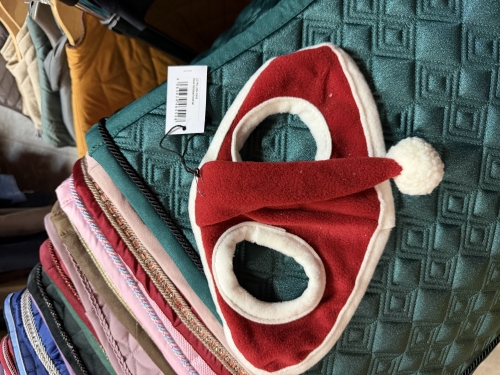 IMG_4051.jpeg