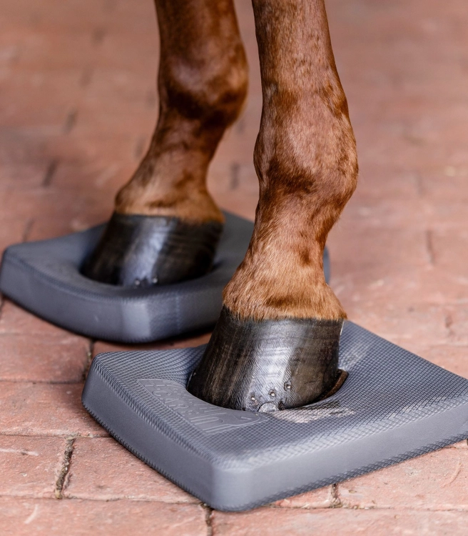 6319610_12_1920x1920.jpg