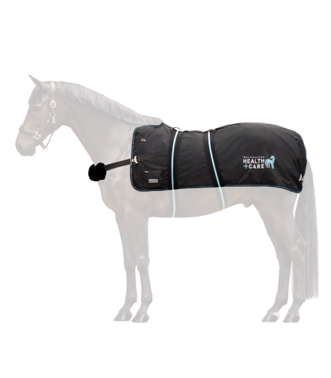 389001-L_15_800x800.png