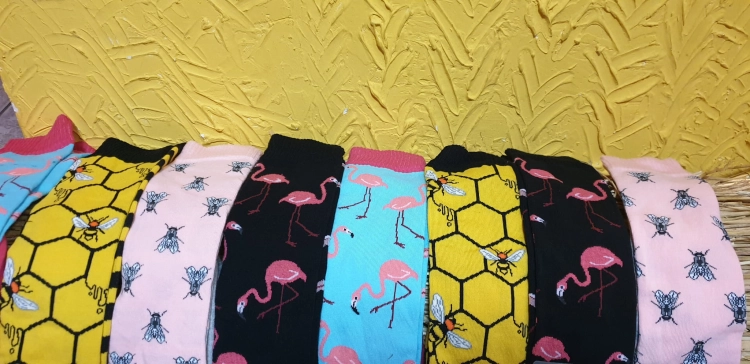 20190414_104514.jpg