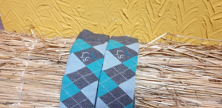 20190414_104856.jpg