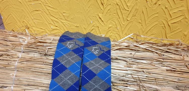 20190414_104832.jpg