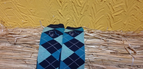 20190414_104807.jpg