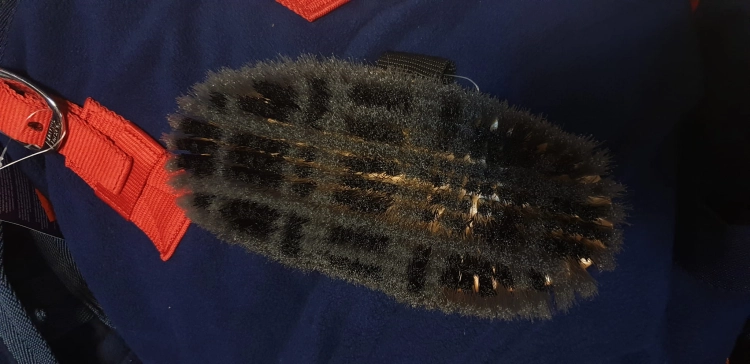 20191121_170052.jpg
