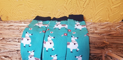 20200121_133006.jpg