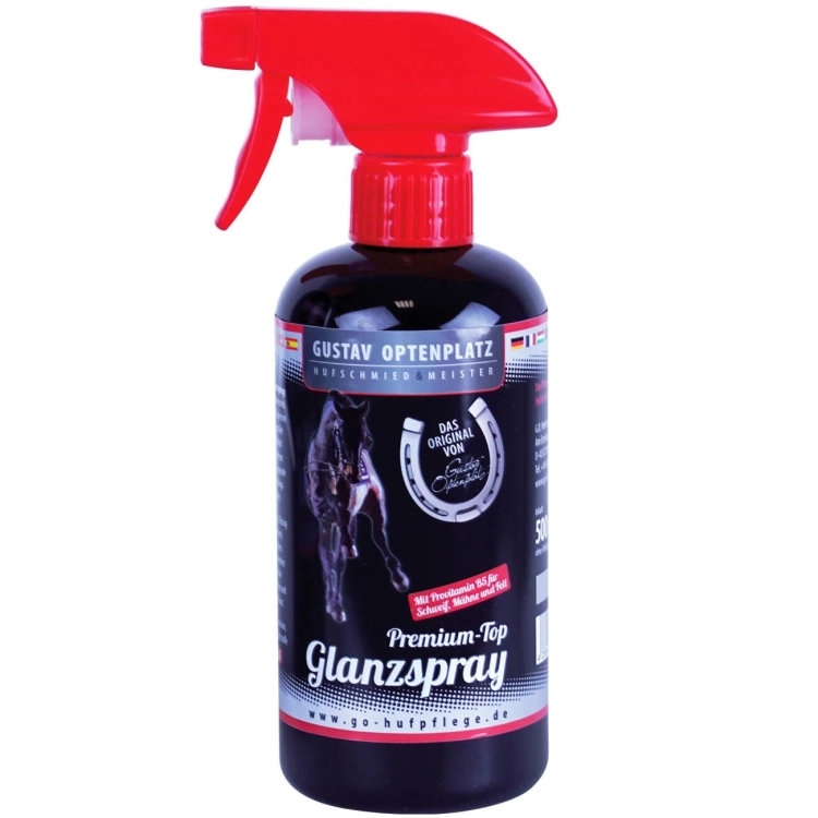 pol_pl_Premium-Top-Glanzspray-Optenplatz-6032_1.jpg